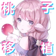 pixelbunny有声汉化版