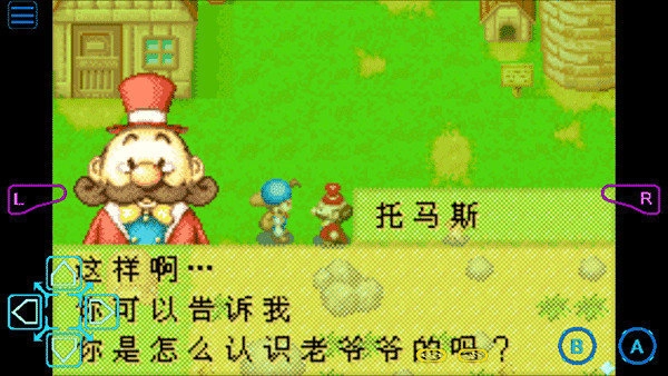 牧场物语矿石镇的伙伴们金手指(2)