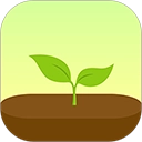 forest专注森林