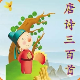 宝宝学唐诗三百首连续播放版
