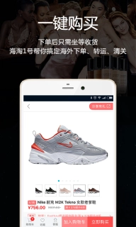 海淘1号图4