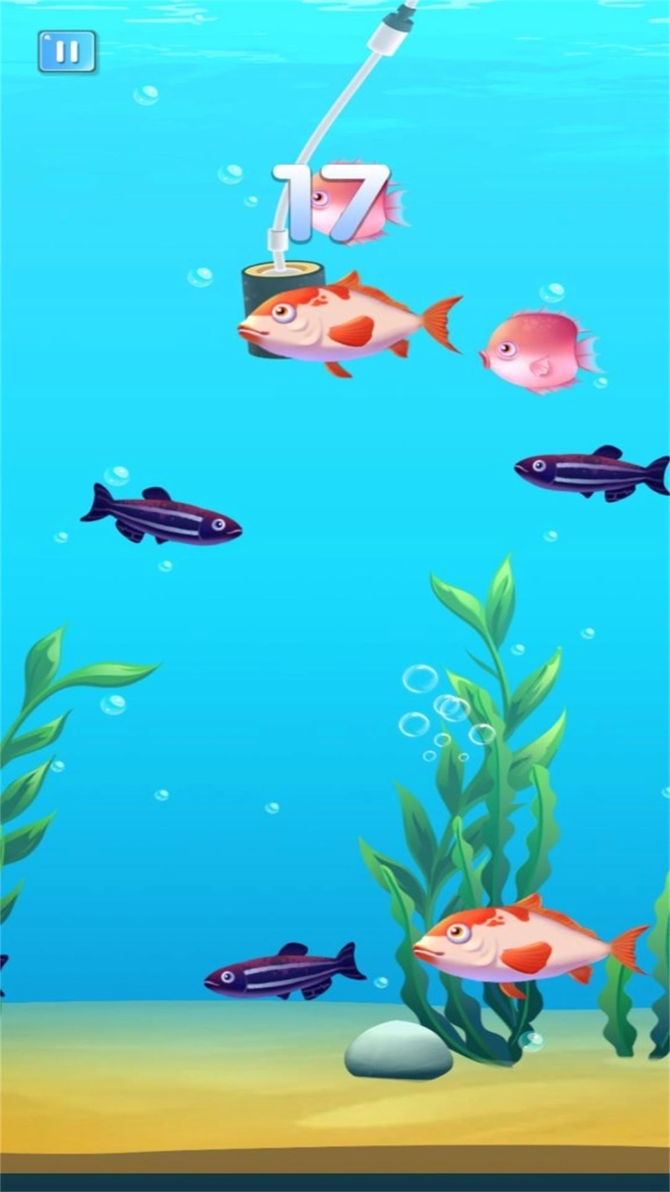 大鱼吞噬之路最新版图3