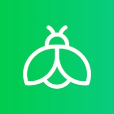 萤火虫