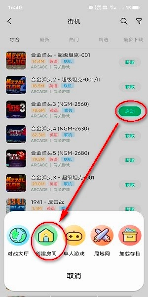 小马模拟器2025最新版(3)