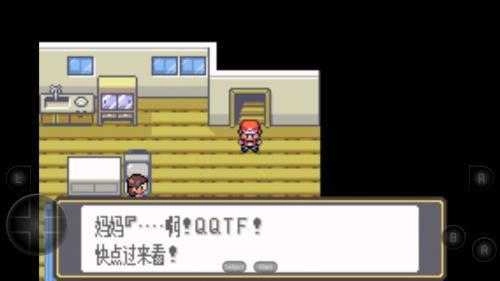 口袋妖怪黑白汉化版(3)