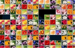 花花连连看原版(2)