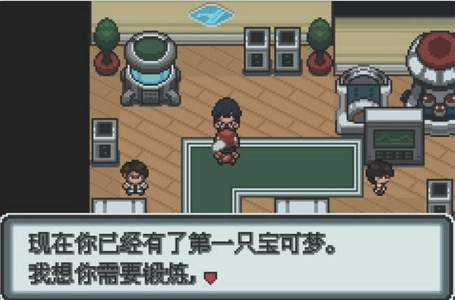 口袋妖怪白金汉化版2.0(3)