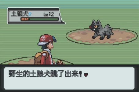 口袋妖怪白金汉化版(3)