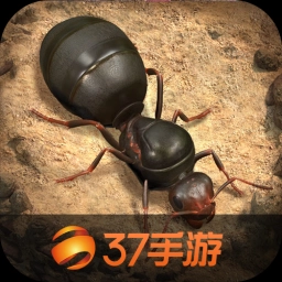 小小蚁国