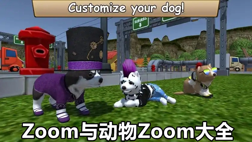Zoom与动物Zoom大全