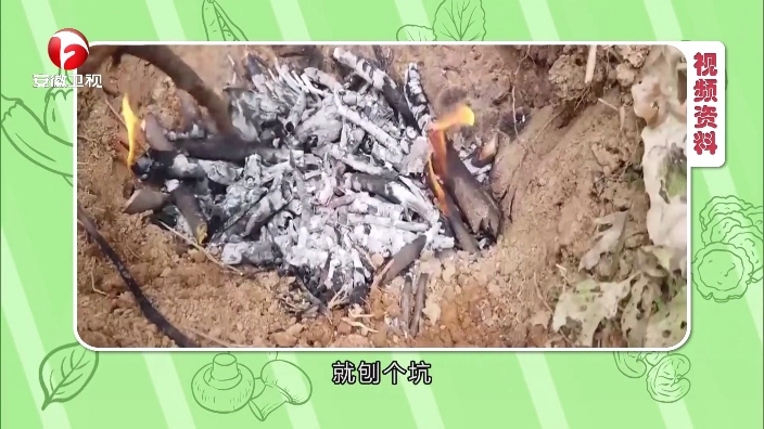 小飞电视图3