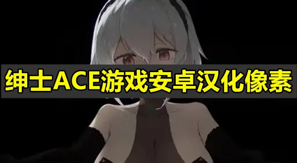 绅士ACE游戏安卓汉化像素