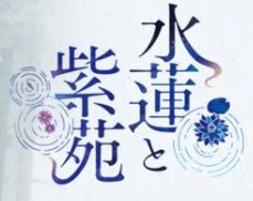 水莲和紫苑krkr