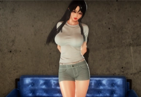 幻想驯化1.5无心版(2)