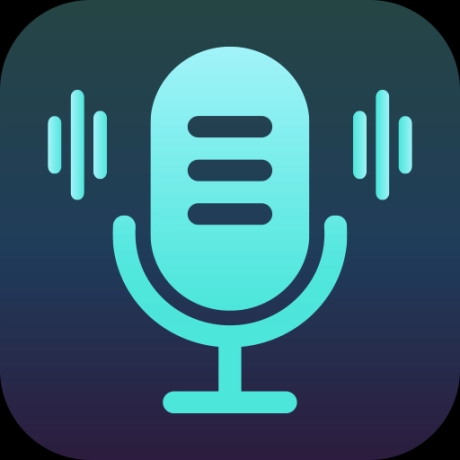 专业变声软件