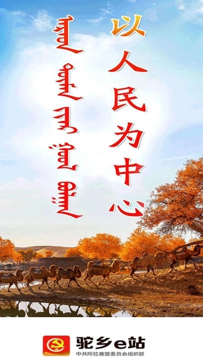 驼乡e站图1