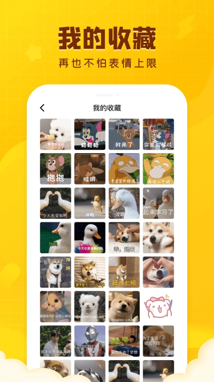 闪萌表情图4