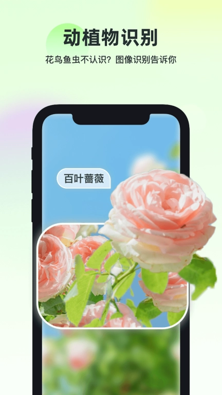智能识万物 图2