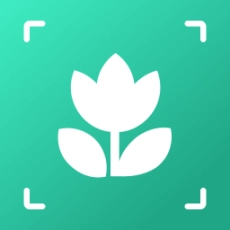 万物识图