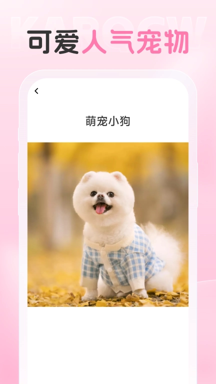 爱炫相机图3