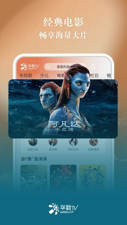 华数T图2