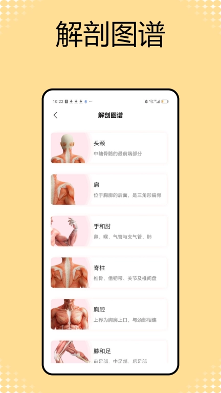解剖和生理学图1