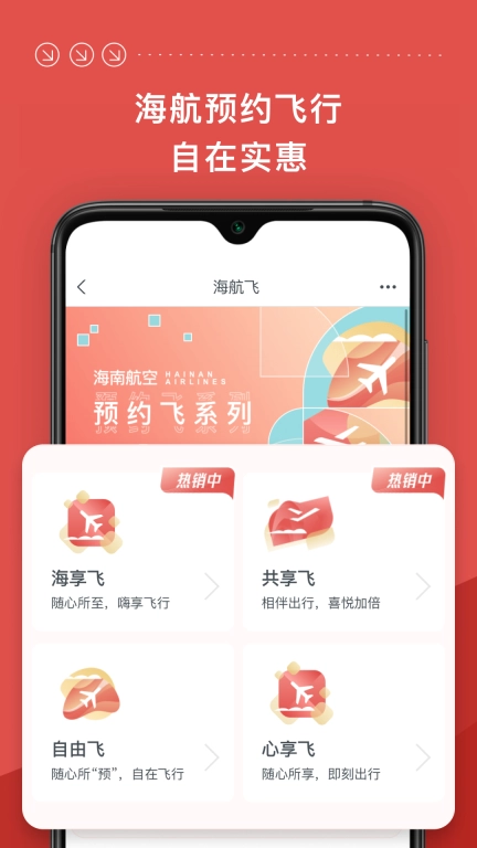 海南航空图5