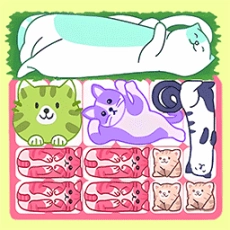 拼图天花板