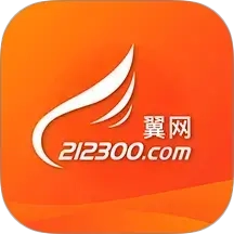 丹阳翼网