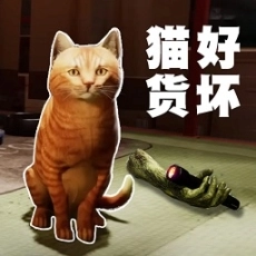 诡秘大逃亡正版