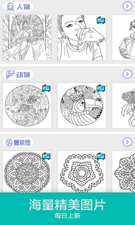 填色数字画画图2