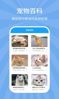 狗猫翻译器图3