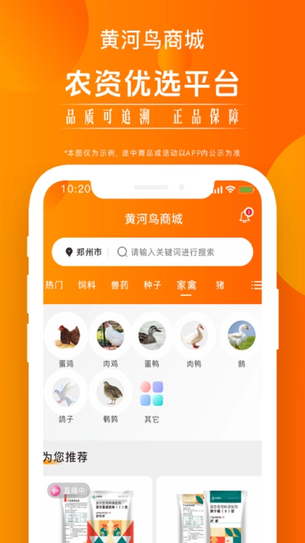 黄河鸟商城图2