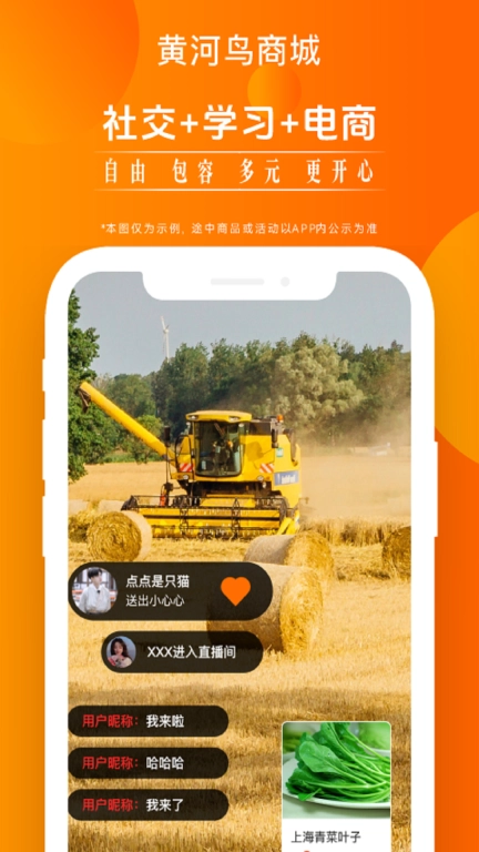黄河鸟商城图3