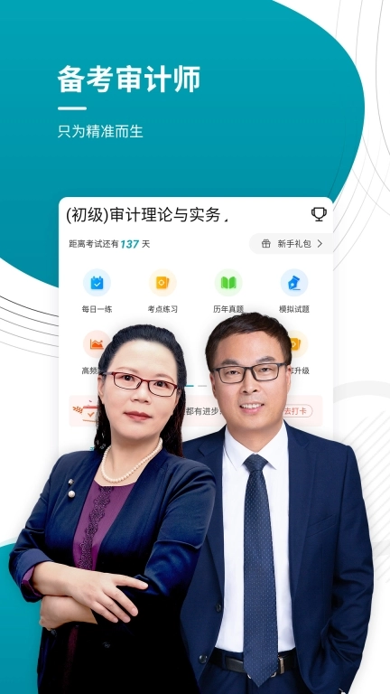 审计师图1