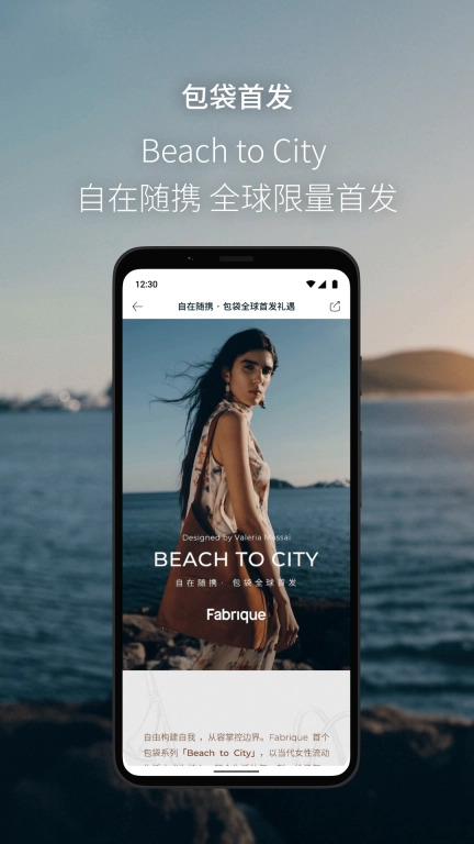 Fabrique 图5