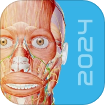 人体解剖3d