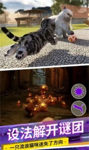 猫咪城市模拟器图3