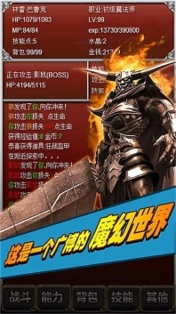盘龙挂机图2