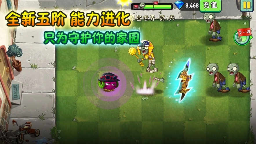 别打植物图3