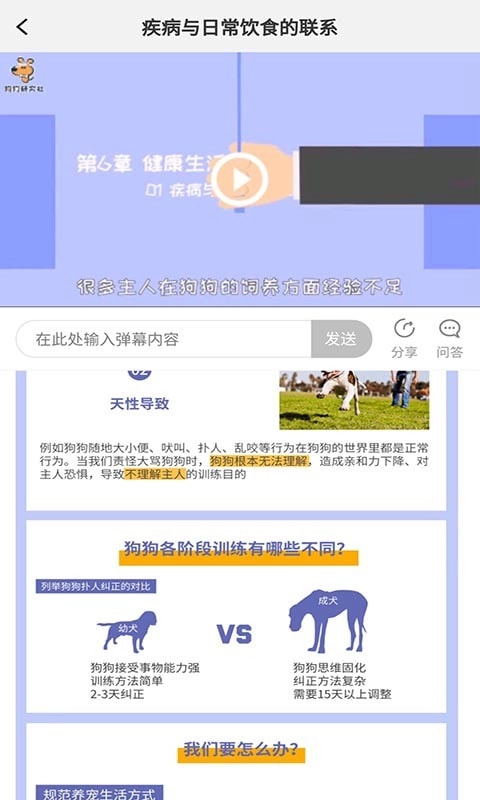 宠物训养小课堂图1
