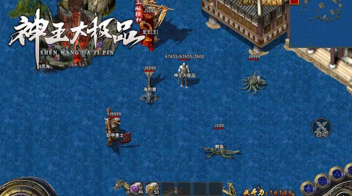 神王大极品 图3