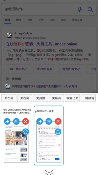 大海浏览器图2