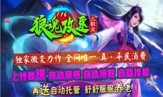 狼魂1.76攻速三职业安卓版图3
