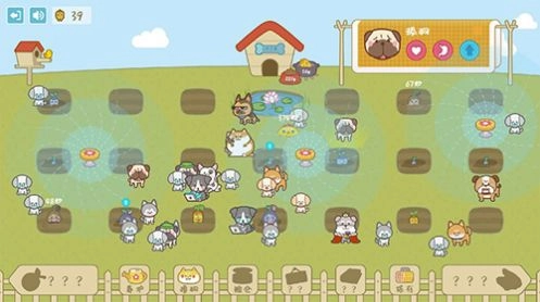 宠物托管所领红包福利版图1