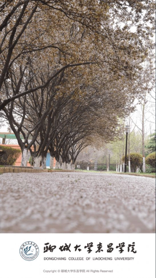 聊城大学东昌学院 图1