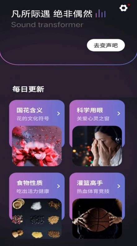 开黑聊天变声器手机版图3
