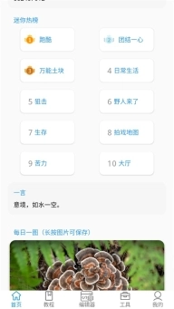 迷你开发者工具箱图3