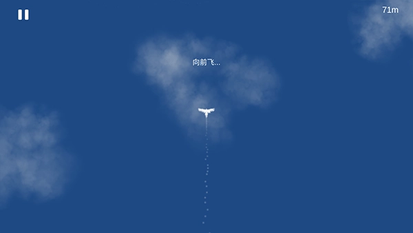 Sky Bird天之鸟图2