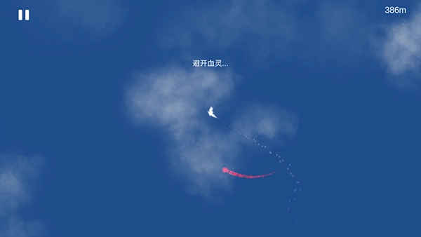 Sky Bird天之鸟图3